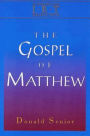 The Gospel of Matthew: Interpreting Biblical Texts Series