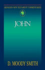 John: Abingdon New Testament Commentaries