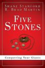 Five Stones 34376: Conquering Your Giants