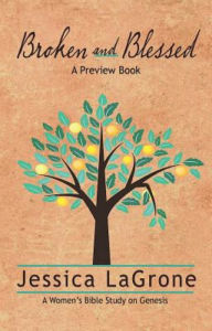 Title: Broken and Blessed - Preview Book: How God Used One Imperfect Family to Change the World, Author: Jessica LaGrone
