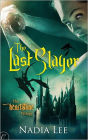 The Last Slayer: A Fantasy Romance Novel