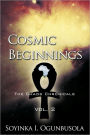 Cosmic Beginnings: The Chaos Chronicals Vol. 2