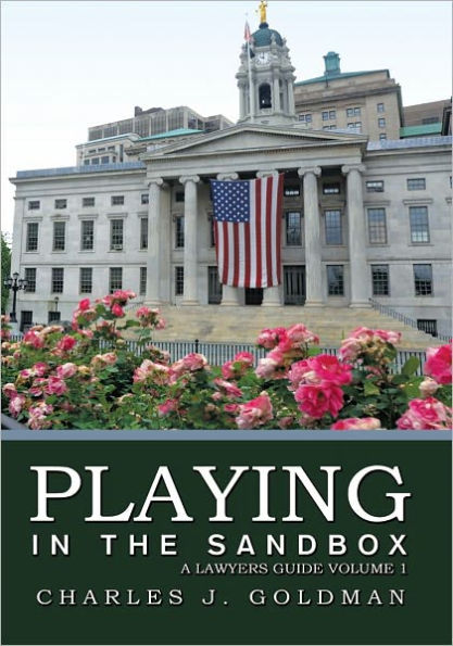 Playing in the Sandbox: A Lawyers Guide Volume 1