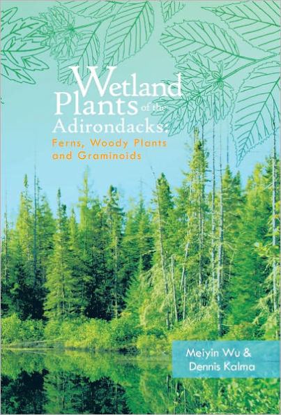 Wetland Plants of the Adirondacks: Ferns, Woody Plants, and Graminoids