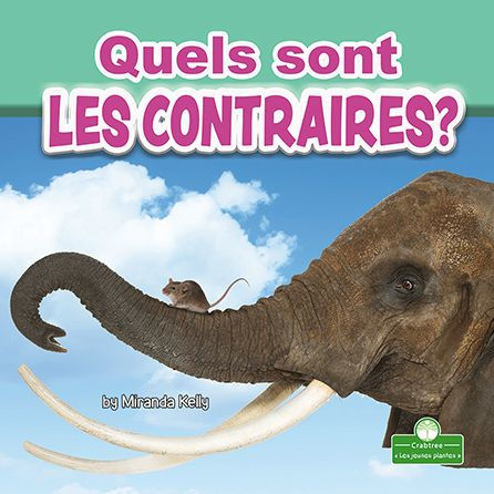 Quels sont les contraires? (What Are Opposites?)