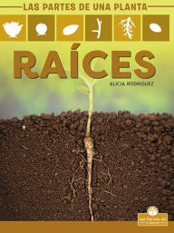 Title: Raices (Roots), Author: Alicia Rodriguez