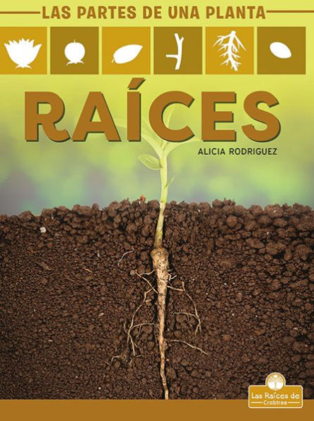 Raices (Roots)