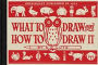 What to Draw and How to Draw It
