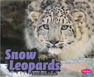 Snow Leopards