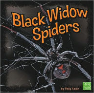 Title: Black Widow Spiders, Author: Molly Kolpin
