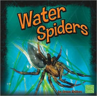 Title: Water Spiders, Author: Joanne Mattern