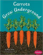 Carrots Grow Underground