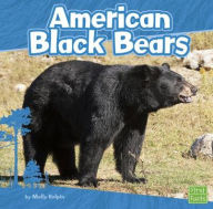Title: American Black Bears, Author: Molly Kolpin