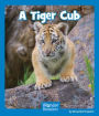 A Tiger Cub