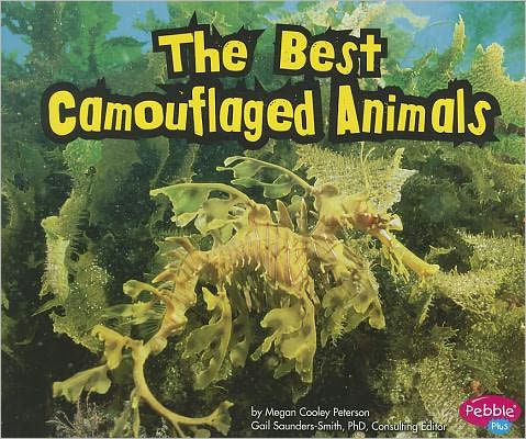 The Best Camouflaged Animals