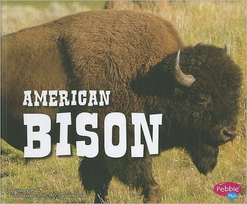 American Bison