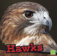 Title: Hawks, Author: Cecilia Pinto McCarthy