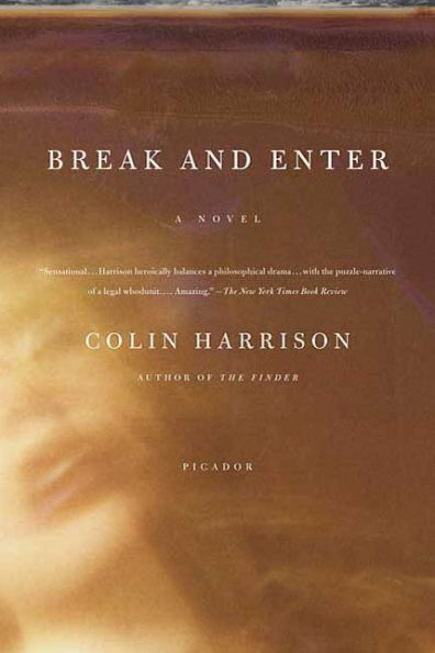 Break and Enter: A Novel