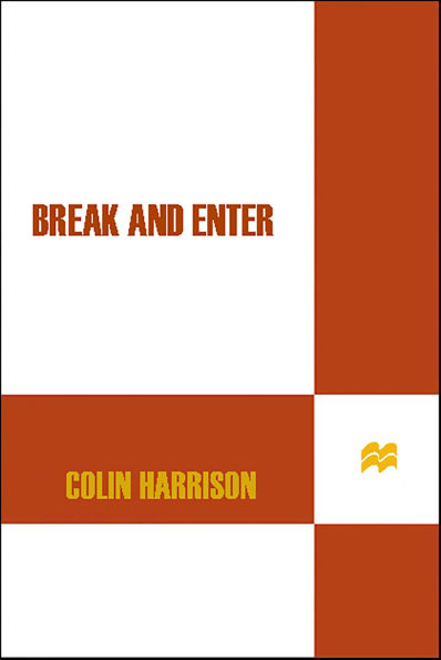 Break and Enter: A Novel
