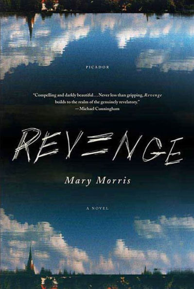 Revenge: A Novel