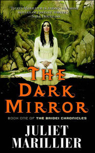 The Dark Mirror