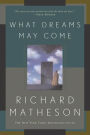 What Dreams May Come: A Novel