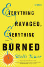 Everything Ravaged, Everything Burned: Stories