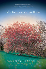 Title: It's Beginning to Hurt, Author: James Lasdun