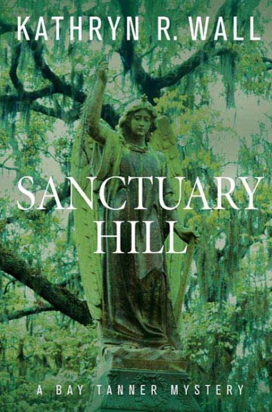 Sanctuary Hill: A Bay Tanner Mystery