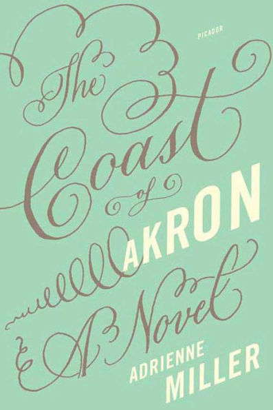 The Coast of Akron: A Novel