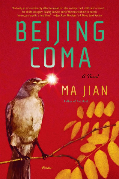 Beijing Coma: A Novel