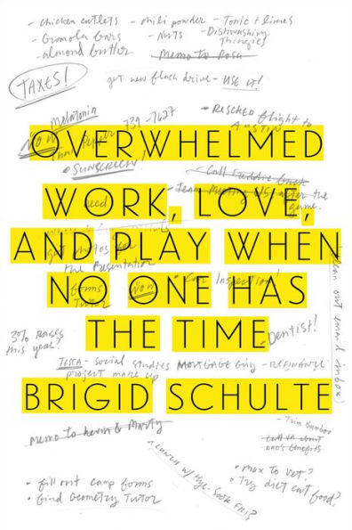 Overwhelmed: Work, Love, and Play When No One Has the Time