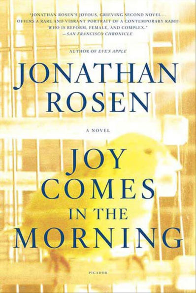 Joy Comes in the Morning: A Novel