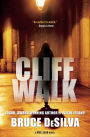 Cliff Walk: A Liam Mulligan Novel