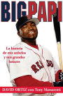 Big Papi: La Historia de Mis Anhelos y Mis Grandes Batazos