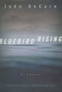 Bluebird Rising: A Mystery