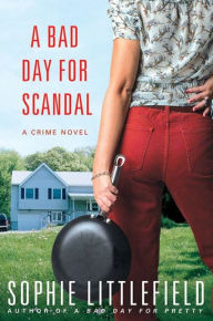 Title: A Bad Day for Scandal (Stella Hardesty Series #3), Author: Sophie Littlefield