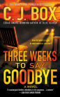 Three Weeks to Say Goodbye: A Novel