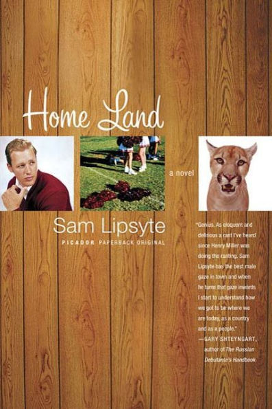 Home Land: A Novel