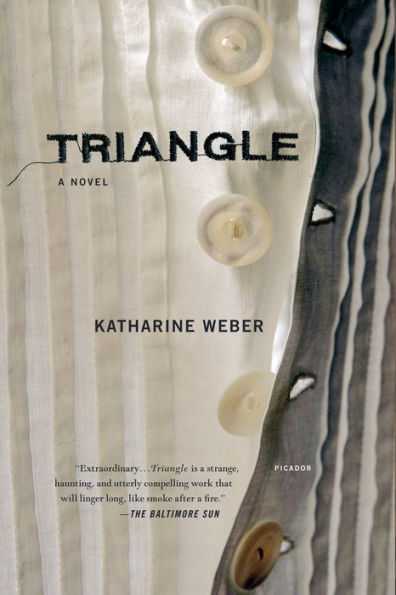 Triangle: A Novel