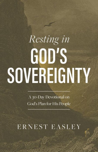 Resting God's Sovereignty: A 30-Day Devotional on Plan for His People