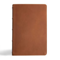 Title: CSB Men's Daily Bible, Brown Genuine Leather, Indexed, Author: CSB Bibles by Holman