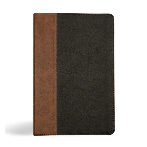KJV Personal Size Giant Print Bible