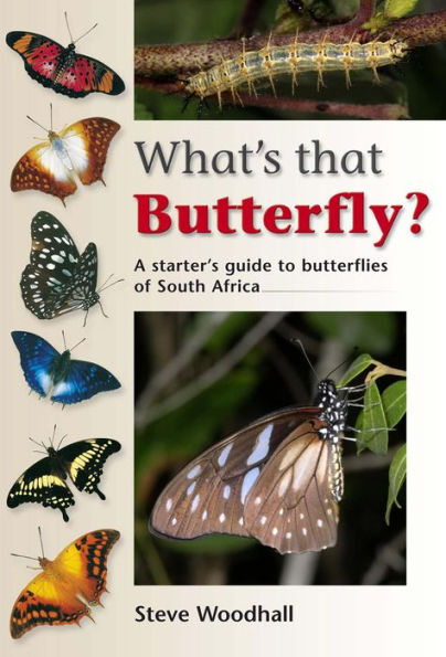 What's that Butterfly?: A starter's guide to butterflies of South Africa