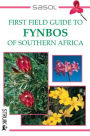 First Field Guide to Fynbos of Southern Africa
