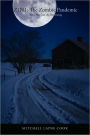 Z1n1: The Zombie Pandemic: 2012 Was Just the Beginning