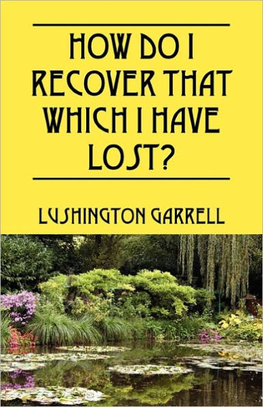 How Do I Recover That Which I Have Lost?