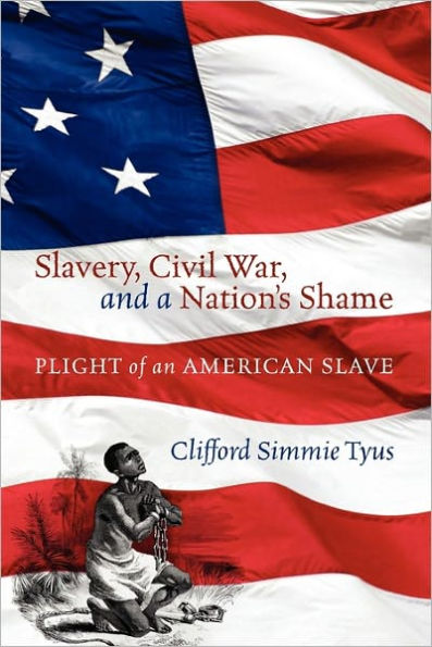 Slavery, Civil War, and a Nation's Shame: Plight of an American Slave