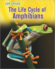 Title: The Life Cycle of Amphibians, Author: Darlene R. Stille