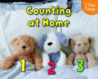 Title: Counting at Home, Author: Rebecca Rissman